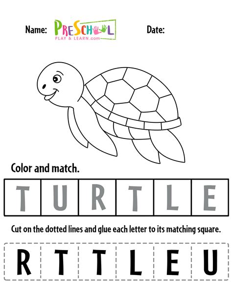 🐢 Free Printable Turtle Worksheets For Preschool Theme