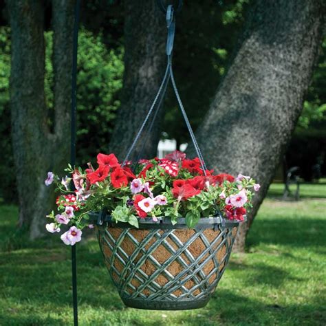 Plaid In Plastic Hanging Basket With Aquasav Coco Liner Pride