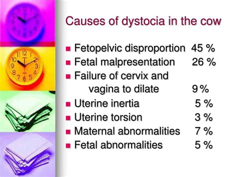 Ppt Dystocia Causes Treatment And Prevention Powerpoint Presentation Id730526