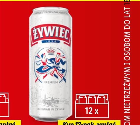 Archiwum Ywiec Piwo Jasne Ml Lidl