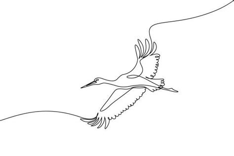 770 Continuous Line Drawing Bird Illustrazioni Stock Grafiche