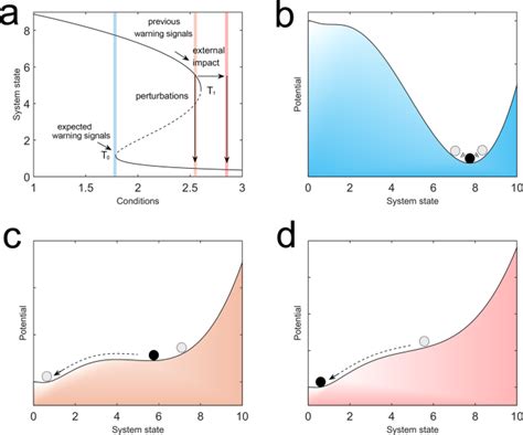 Thermodynamic And Dynamical Predictions For Bifurcations And Non