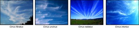 cirrus-clouds - Untamed Science