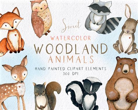 Woodland Animals Clipart, Watercolor Woodlands Clipart, Watercolor Fox Bear Deer Owl Bunny Skunk ...