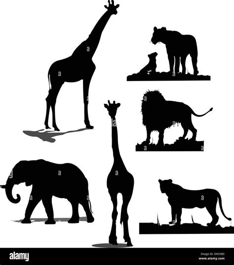 African animal silhouettes. Black and white silhouettes Stock Vector Art & Illustration, Vector ...