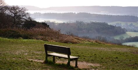 Newlands Corner Surrey Hills National Landscape