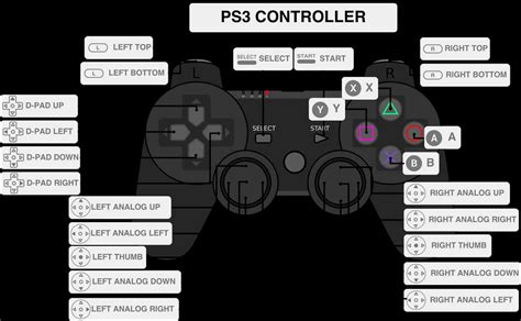 Visual Breakdown Of Ps3 Controller Components Wiremystique