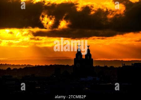 El Sol Se Pone Detr S De Los P Jaros Del H Gado Sentado En Lo Alto Del