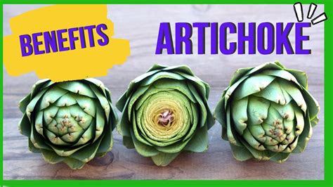 Benefits Artichoke Youtube