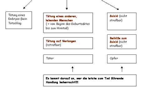 Ziele Und Massnahmen Des Strafrechts