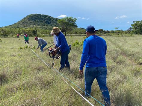 Jornada de reforestación en la Finca El Lago en Veraguas Un Éxito en