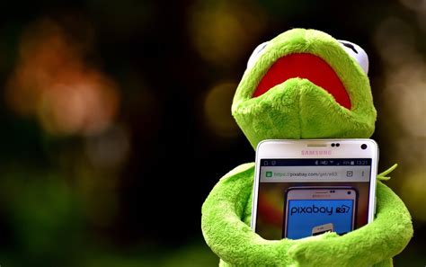 500 Free Kermit And Frog Images Pixabay