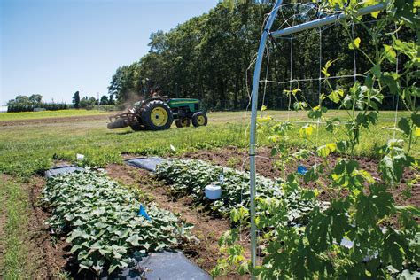 polyculture-planting – Environmental and Natural Resource Economics