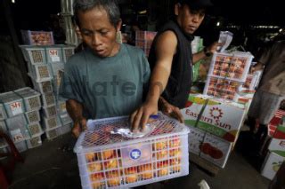 Pedagang Buah Di Pasar Induk Kramat Jati Datatempo