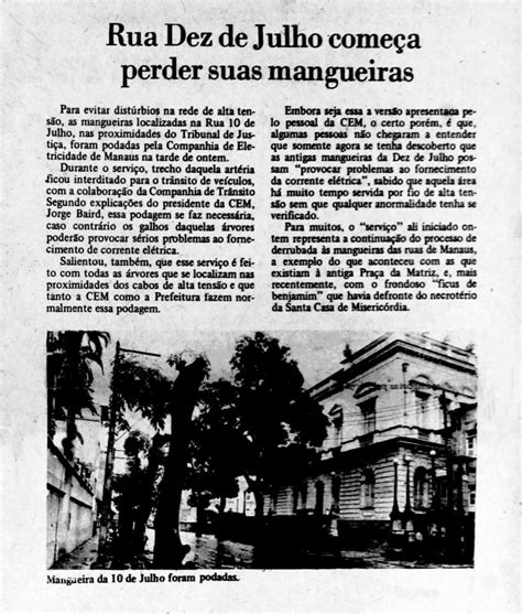 Rua Doze De Julho - As mangueiras da rua dez de julho - Instituto Durango Duarte
