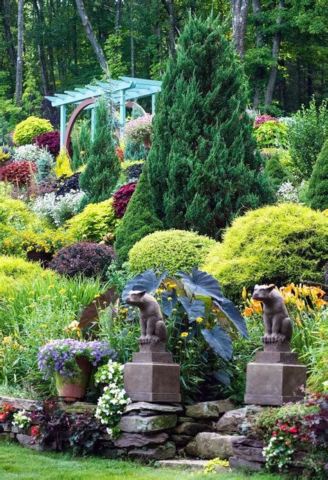 10 Outstanding Evergreen Trees for Privacy | Better Homes & Gardens