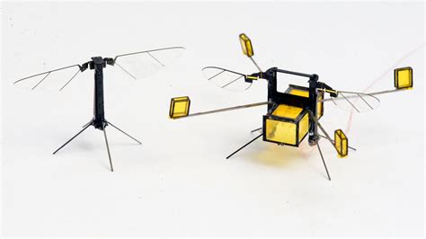 El Nuevo Micro Robot Robobee De Harvard Vuela Bucea Nada Y Salta En