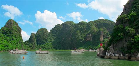 Spektrum Entwicklung Planen Vietnam Reisen Rucksack Husten Kopieren