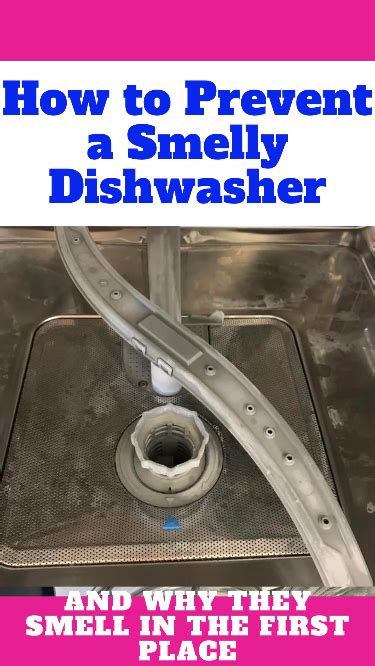 How Dishwasher Air Gaps Work Why You Need One Artofit