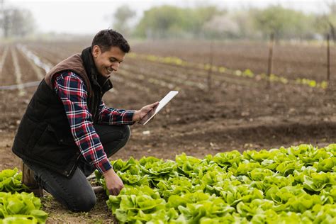 Conoce A Los Mayores Productores De Alimentos Del Mundo