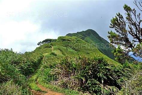 Photograph Green Mountain Ascension Island Science Source Images