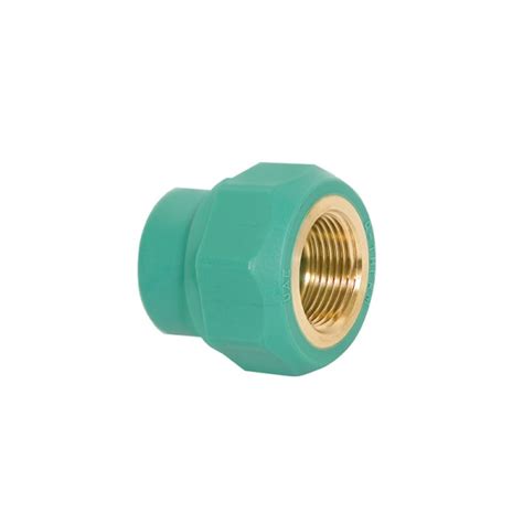 Female Socket 40x1 1 4 Q Therm Pprc Irfan Traders