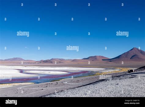 Laguna Colorada, Eduardo Avaroa National Reserve, Bolivia Stock Photo ...