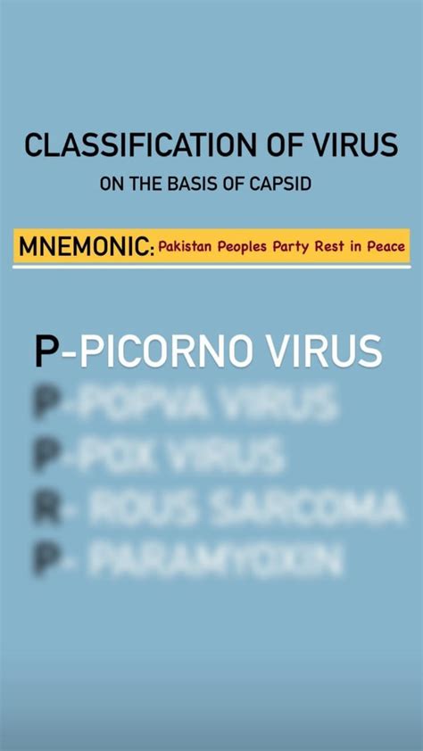 Solution Mnemonics For Classification Of Virus Studypool