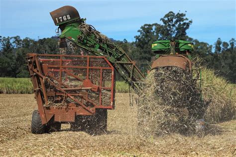 Brasil deve atingir recorde na produção de açúcar mesmo queda na