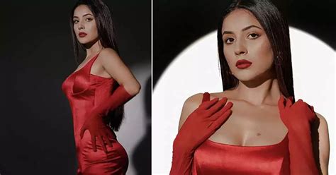 Shehnaaz Gill Raises Temperatures In A Jaw Dropping Red Dress Pics