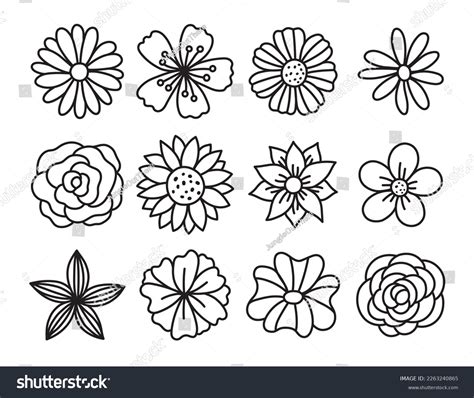 54,784 Black And White Flowers Clip Art Royalty-Free Images, Stock ...