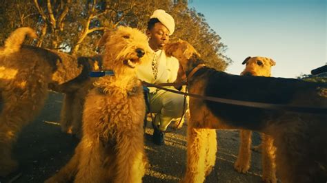 Tyler, The Creator drops the "DOGTOOTH" video in support of The Estate Sale