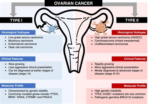 Ovarian Cancer Tumor Types