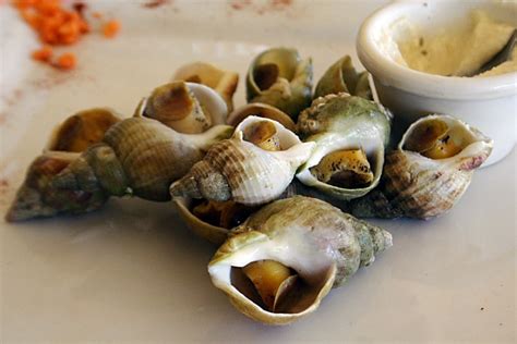 French Snails Bulots Mayonnaise Easy Delicious Recipes