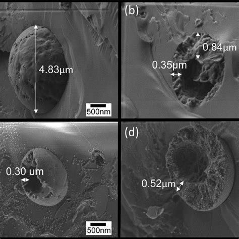 Cryo SEM Images Of The Fractured Surface Of Vitrified Cellulose Coated