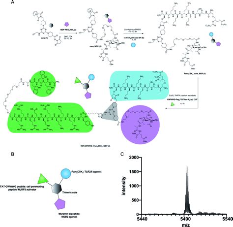 Synthesis Of Tat Ggpam2csk4mdp Tri Agonist 4 A Synthesis Download Scientific Diagram