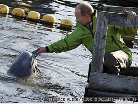 Vladimir Putin With Animals (24 pics)