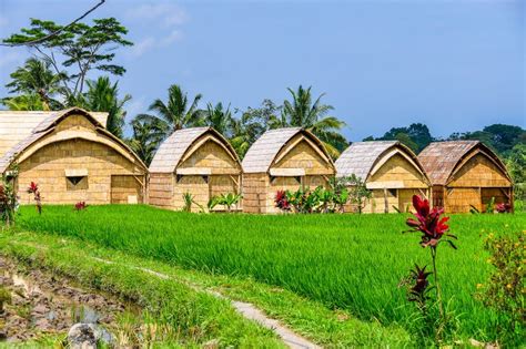 House In Rice Field In Ubud Bali Stock Image Image Of Pattern Ubud