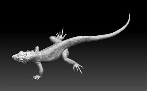 Lizard 3d Model 3d Printable Cgtrader