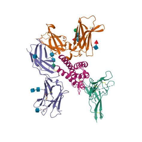 RCSB PDB 2ERJ Crystal Structure Of The Heterotrimeric Interleukin 2