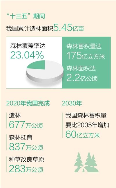 我国森林面积和森林蓄积量连续30年保持双增长 发改工作 信阳市发展和改革委员会