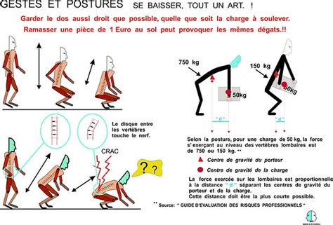 Gestes Et Postures Risques Et Pr Ventions Du Metier De Jardinier