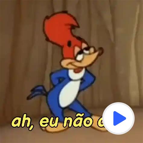 Pica Pau Timido
