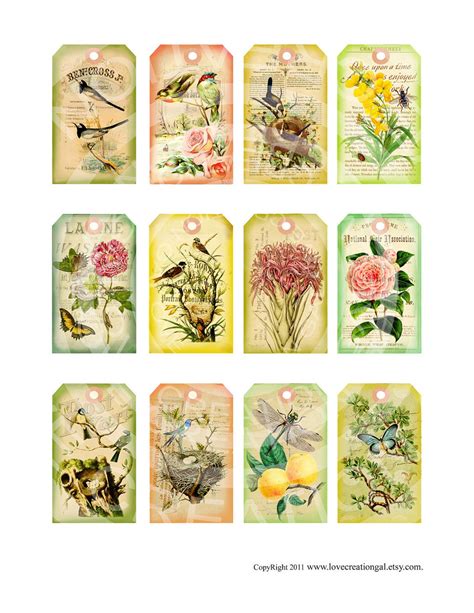 Vintage Botanical Dragonfly Birds Nest Ledge Rose Butterflies - Etsy