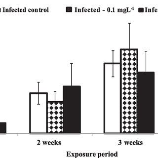 Light Photomicrographs Through The Ovotestis Of Infected B Alexandrina