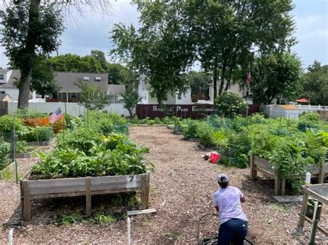 Roselle Park Community Garden Union County Plant A Seed Blog