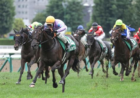 ナムラクレアg1取りへ最高の前哨戦v 浜中騎手「あと1歩まできている」／キーンランドc 競馬 日刊スポーツ