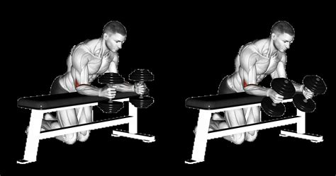 Dumbbell Neutral Grip Wrist Curl: Guide, Muscles Worked, Tips | Athlemove