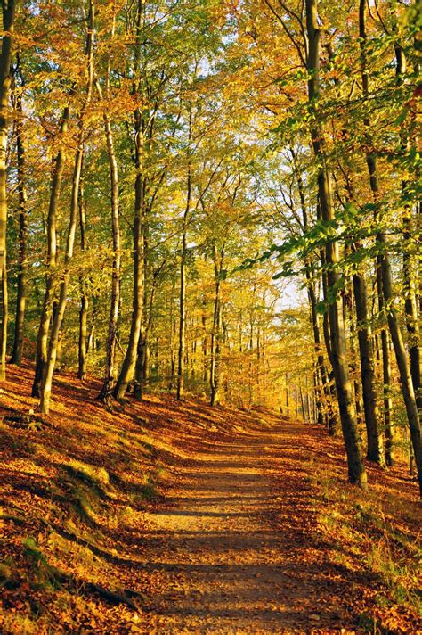 hochformat digitalphoto