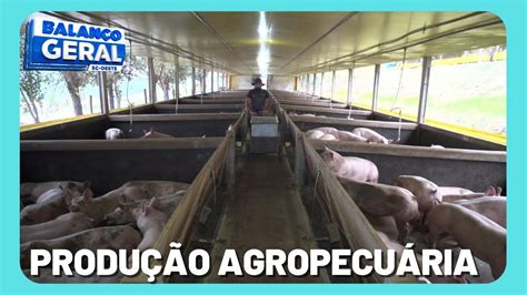 Santa Catarina Amplia O Faturamento Do Setor Agropecu Rio Em Nd Mais